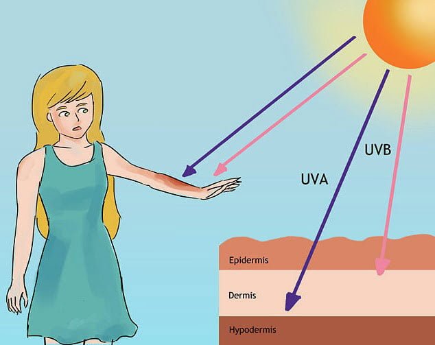 5 thực phẩm giúp bạn hạn chế được tác hại tia UV mùa hè này 1